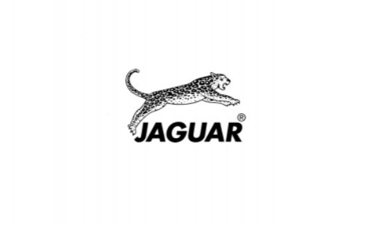 Castela Professional JAGUAR
